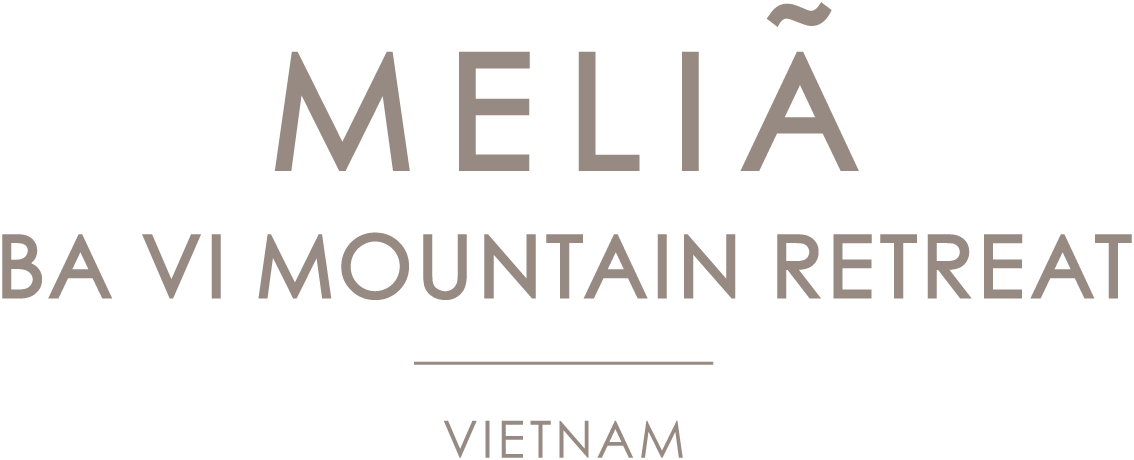 logo_MeliaBaViMountainRetreat_C